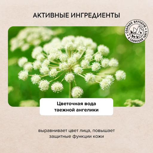 Тоник для лица Био 5 в 1 Сужающий поры, 170 мл / Doctor Taiga / Natura Siberica фото 3