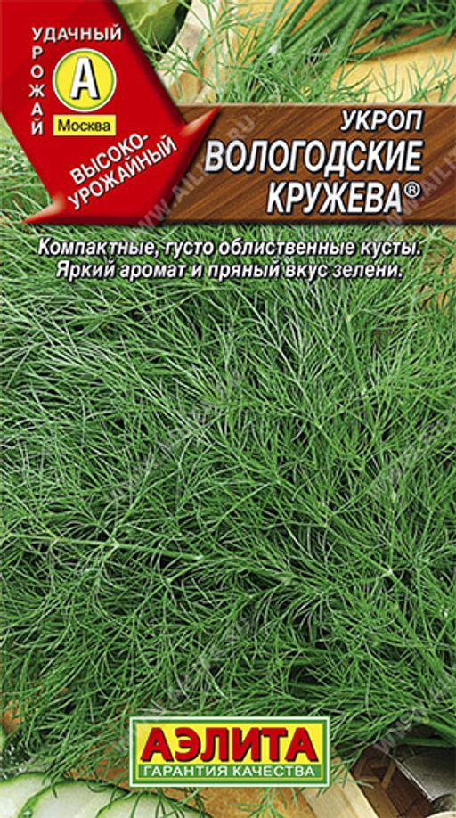 Укроп Вологодские кружева (2027)