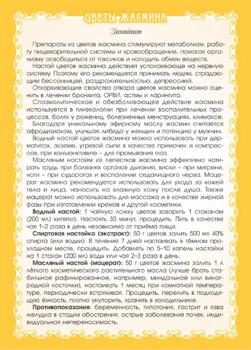 Жасмин (цветы) - Мариславна фото 4
