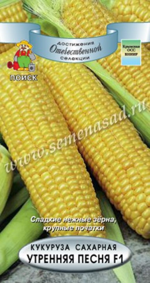 Кукуруза сахарная Утренняя песня F1 (ЦВ*) 5гр.