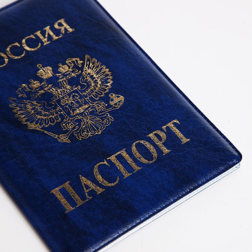 Цена за 2 шт. Обложка для паспорта, искусственная кожа, тиснение, синяя