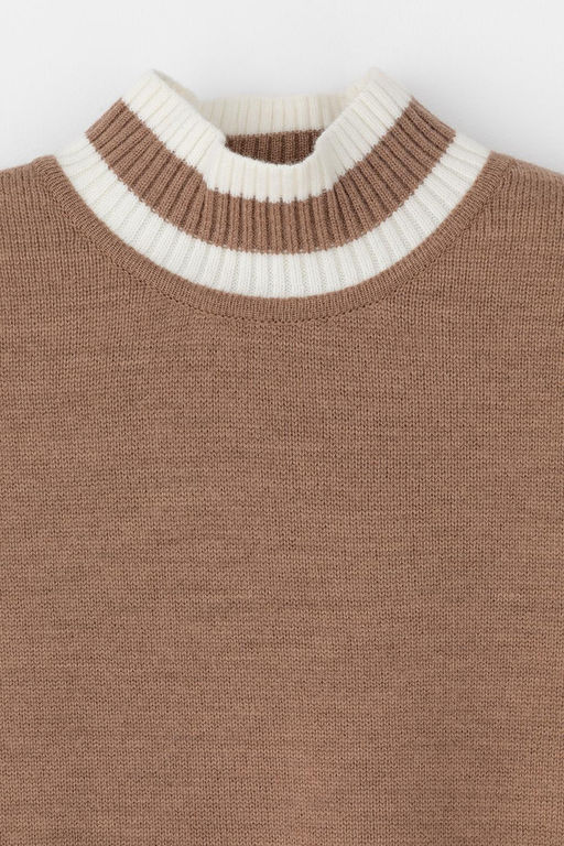 ЕВ 30045/24ш/какао джемпер жен