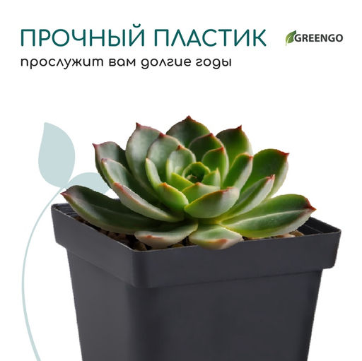 Цена за 10 шт. Горшок для рассады, 700 мл, 10×10×12.5 см, пластик, чёрный, Greengo