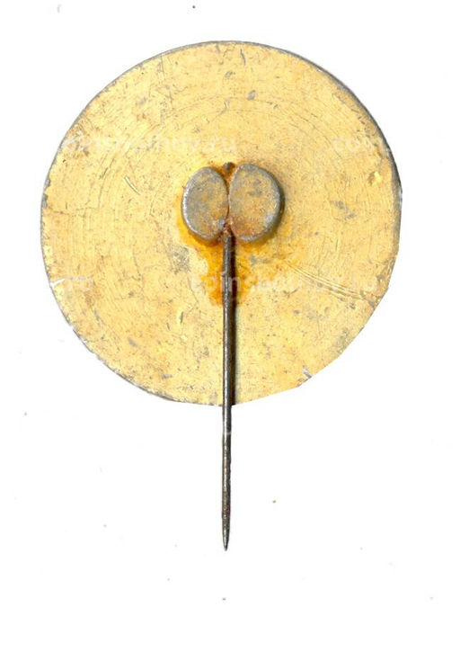 Значок Мингачевир