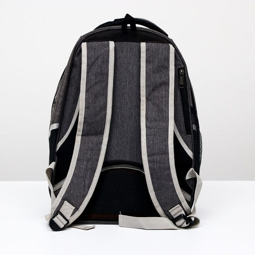 Рюкзак для переноски животных прозрачный, 31 х 28 х 42 см, голубой - Пижон фото 3