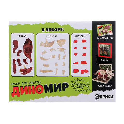 Набор для опытов Диномир: Трицератопс, строение тела динозавра, 33 детали - Эврики фото 19