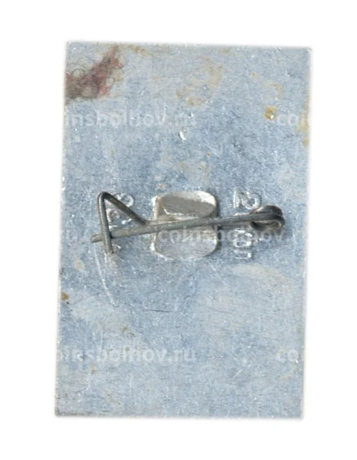 Значок Саранск