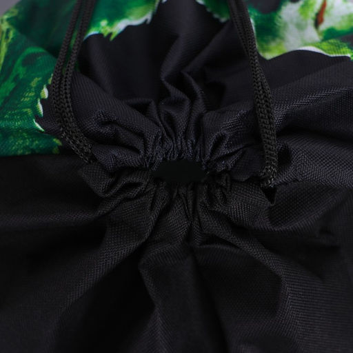 Сумка для обуви ROAR!,полиэстер, размер 41х31х0,5 см - Artfox фото 4