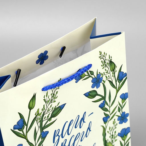 Цена за 2 шт. Пакет подарочный ламинированный, упаковка, «Всего-всего», MS 18 х 23 х 8 см