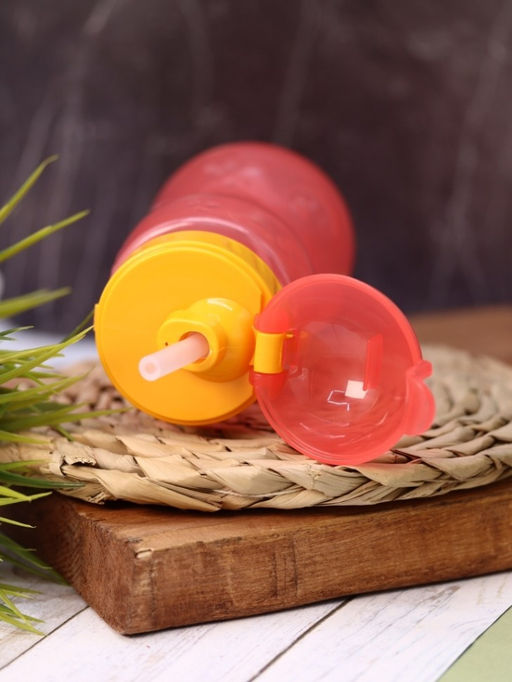 Бутылка "Fruit" с трубочкой, pink (400 ml)