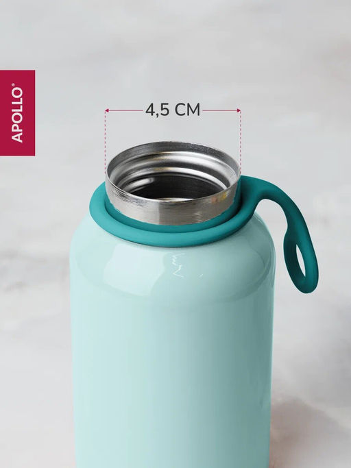 Термос APOLLO "Aquatico" 300 мл цвет: мятный