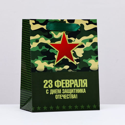 Цена за 2 шт. Пакет подарочный ламинированный вертикальный «23 февраля», 18×23×10 см
