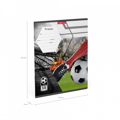 Цена за 200 шт. Тетрадь школьная ученическая ErichKrause Dribbling, 18 листов, клетка (в плёнке по 10 шт.)  фото 10
