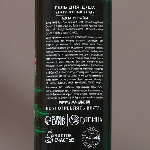 Новогодний подарочный набор косметики «Лучшему из лучших»: гель для душа и шампунь для волос, 2х100 мл, Чистое счастье