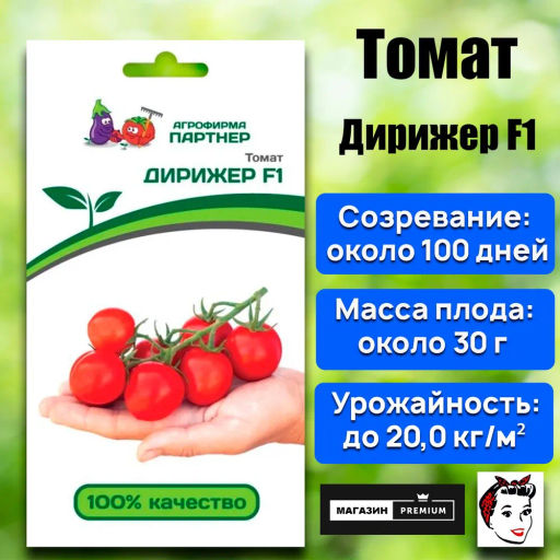 Томат Дирижер - Партнер фото 2