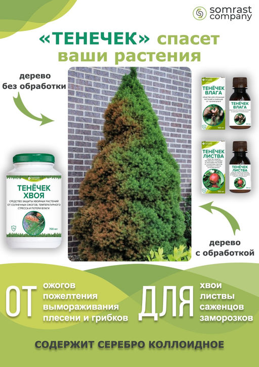 Средство защиты растений Тенечек - ЛИСТВА , 100 мл - Somrast Company фото 2