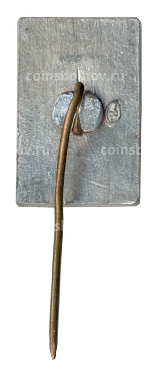 Значок Шушенское