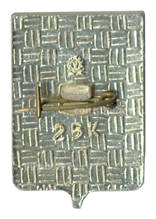 Значок Копейск