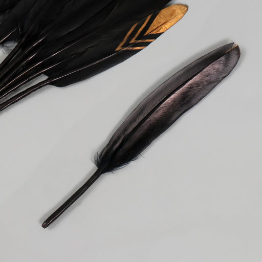 Цена за 10 шт. Перо декоративное гусиное "Треугольники" чёрное с золотом h=10-15 см