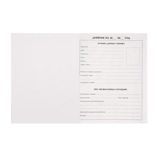 Дневник для 5-11 классов, Девушка. Неон, интегральная (гибкая) обложка, матовая ламинация, выборочный лак, 48 листов - Calligrata фото 4