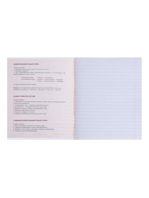 Тетрадь предметная MonoTone 36 листов в линейку Русский язык, со справочным материалом, обложка мелованая бумага, блок № 2, белизна 75% (серые листы) - Calligrata фото 8