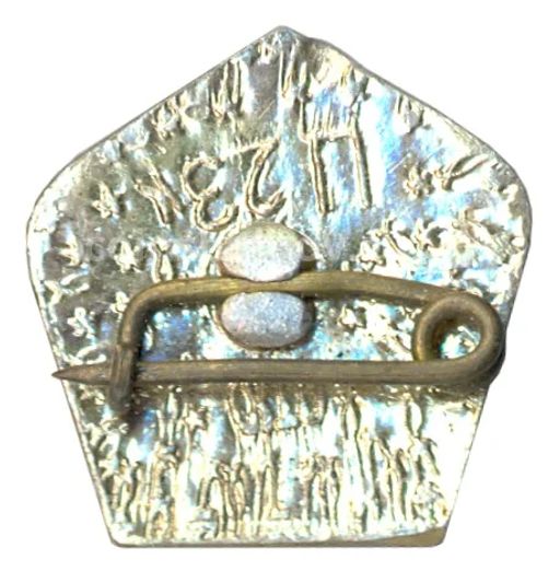 Значок Бухара