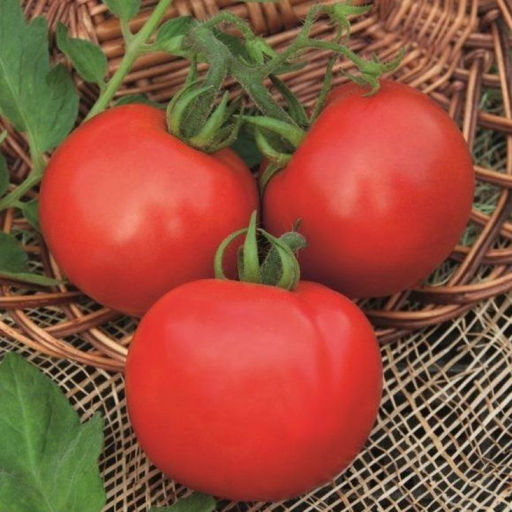 6236U Томат Капитан F1 5шт