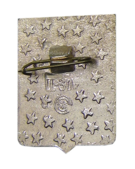 Значок Новосибирск