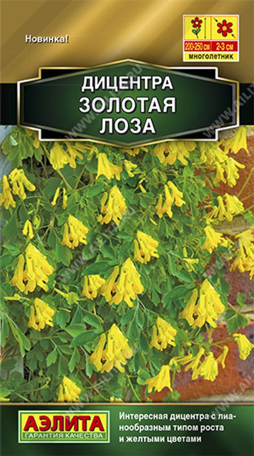 Дицентра Золотая лоза