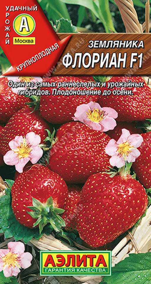 0420A Земляника Флориан F1 5шт
