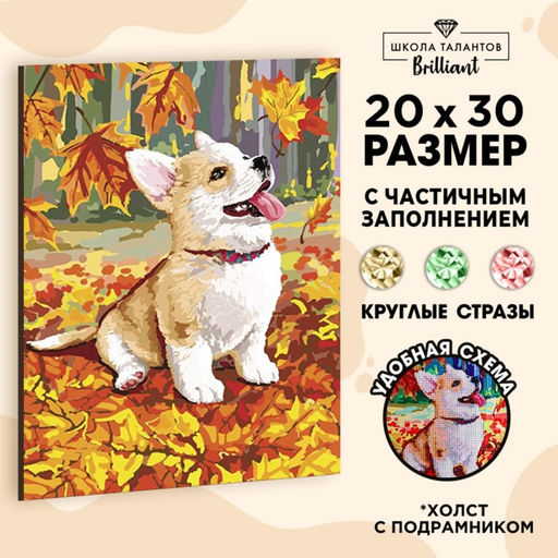 Алмазная мозаика на подрамнике с частичным заполнением «Корги», 20×30 см