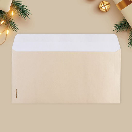 Набор подарочных конвертов «С Новым годом», 10 штук, тиснение, 22×11 см