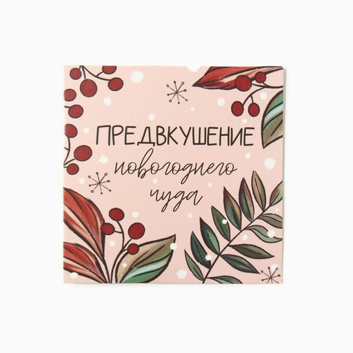 Набор новогодний подарочный «Этель» «Бельчонок» полотенце 30×60 см и аксессуары (5 предметов)