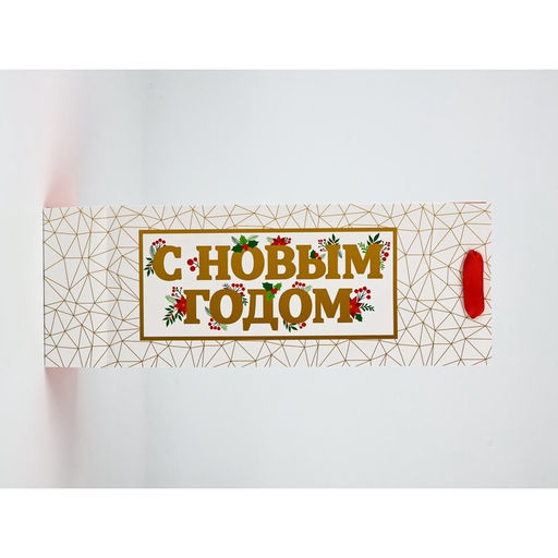 Набор пакетов под бутылку «С Новым годом»