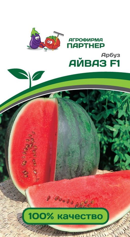 Арбуз Айваз