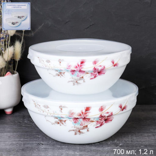 Салатник с крышкой 2 предмета / SW2A (7288) /уп 18/ Колибри - Галеонтрейд фото 4