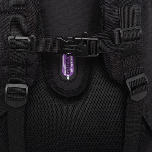 RAz-586-7 Рюкзак школьный - Grizzly фото 31