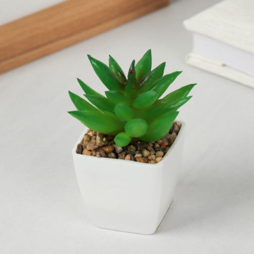 Цветочная композиция Кактус / WER-19 /уп 12/192/ микс - Галеонтрейд фото 8