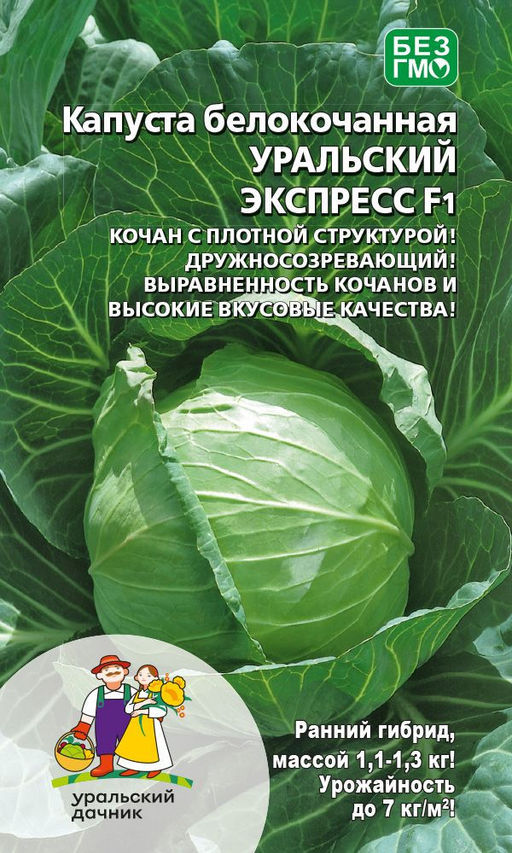 Капуста УРАЛЬСКИЙ ЭКСПРЕСС F1 Плотная текстура! Порционный! Дружное созревание! Высокие вкусовые качества!