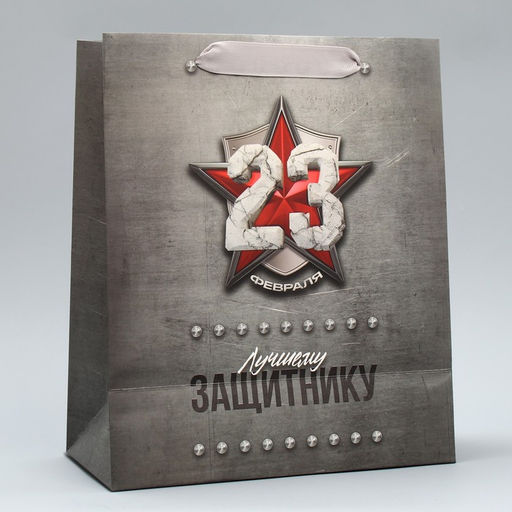 Цена за 2 шт. Пакет подарочный ламинированный, упаковка, «С 23 февраля», MS 18×23×10 см