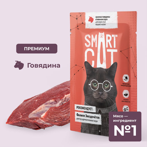 Паучи для взрослых кошек и котят кусочки говядины в нежном соусе