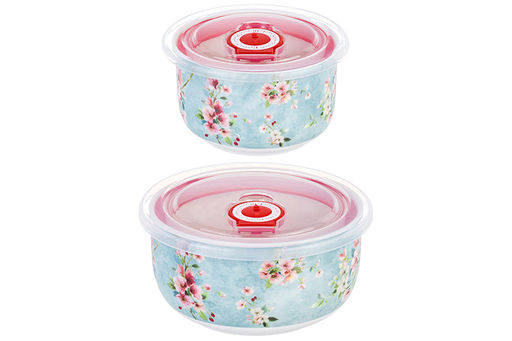 Набор 2 салатников 560 мл 13*13*6,5 см + 260 мл 10,5*10,5*6 см Яблоневый цвет на голубом без зол.к - Elan gallery фото 6