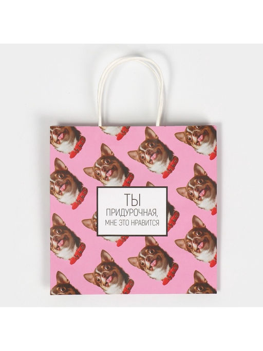 Цена за 2 шт. Пакет подарочный, упаковка, Киса, 22?22?11 см