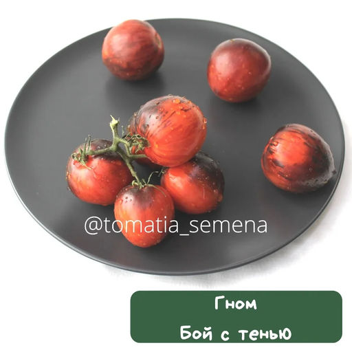 Гном Бой с тенью