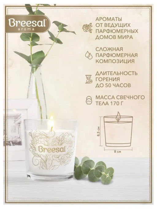Breesal ароматическая свеча Aroma Sphere Дыхание тропиков 170 г фото 2