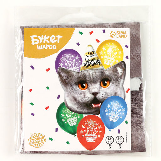Набор воздушных шаров «С Днём Рождения», котик, латекс, фольга, 6 шт.