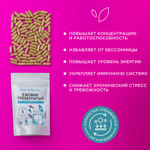 Ежовик гребенчатый мицелий