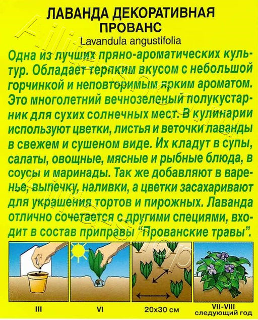 Лаванда Прованс 0,1г (Аэлита)