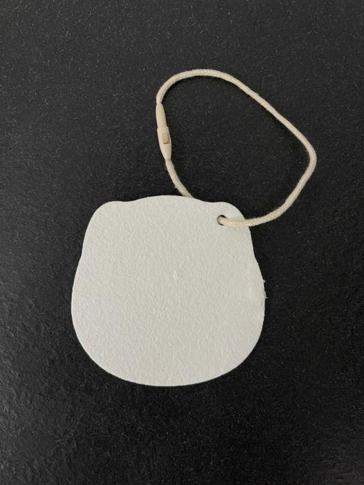 ЭКО губка для посуды "Flowers pig"