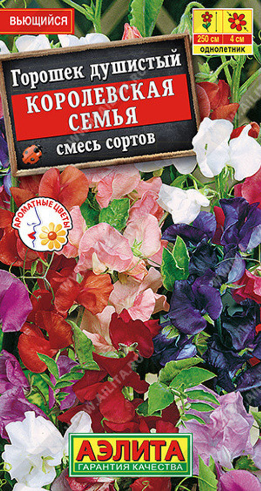 1420A Горошек душистый Королевская семья, смесь сортов 0,5гр